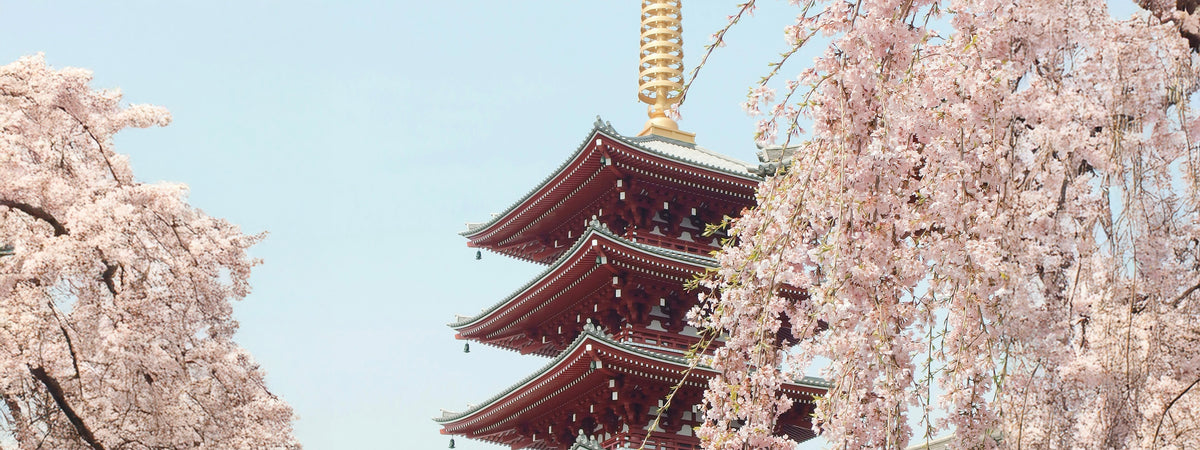 The inspiration behind Light Pink by Yasu Michino