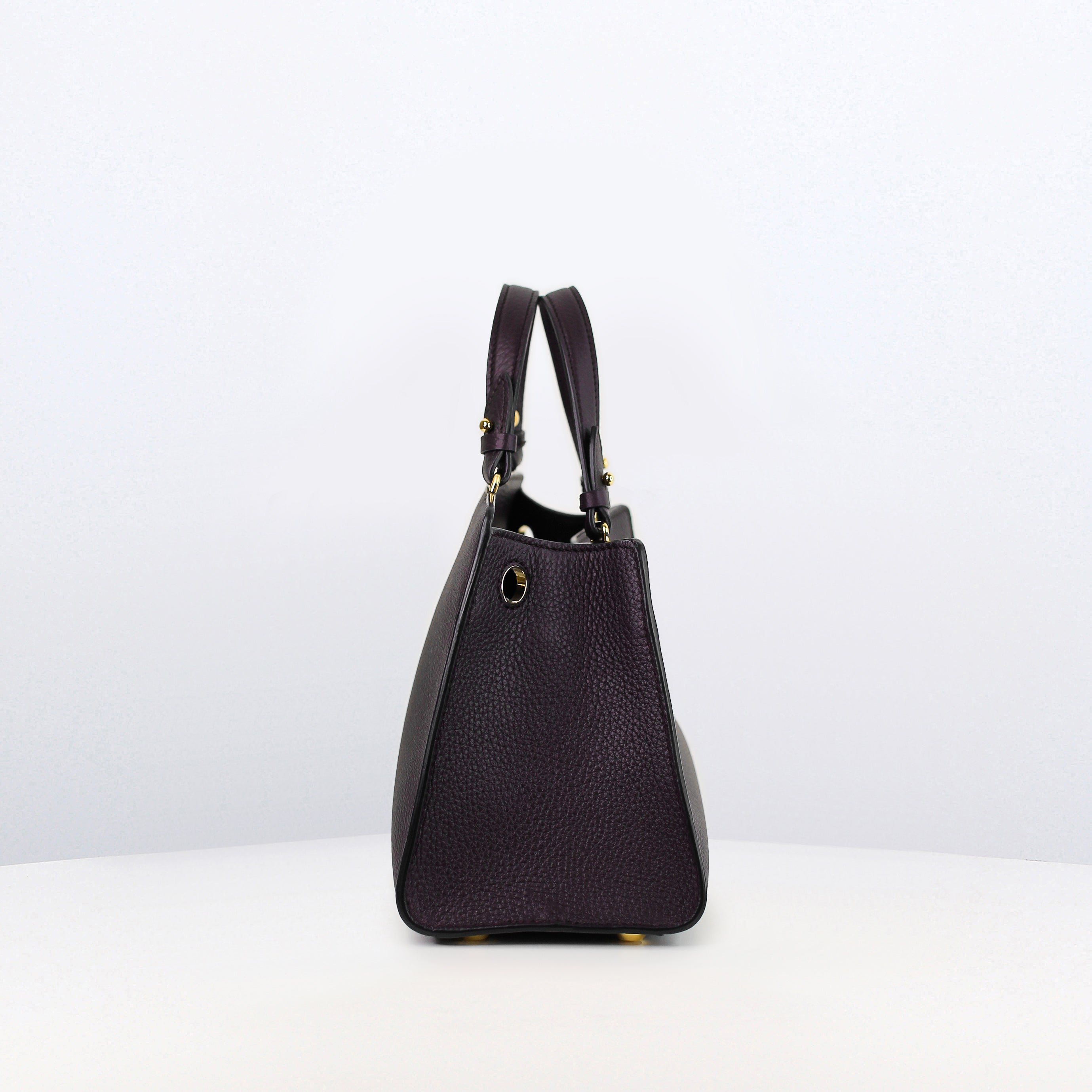 LEATHER HANDBAG TROCADERO MINI RAISIN